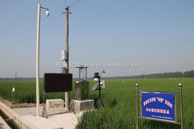 大田“四情”監(jiān)測信息系統(tǒng) 大田“四情”監(jiān)測信息系統(tǒng)