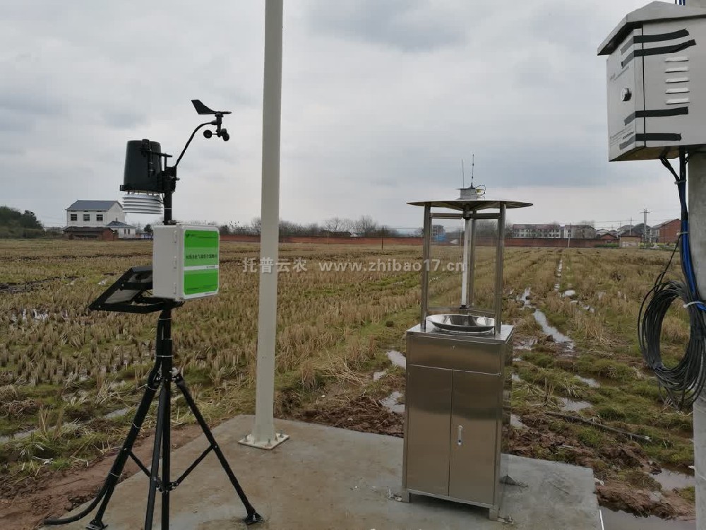 “大田四情”監(jiān)測預(yù)警系統(tǒng)